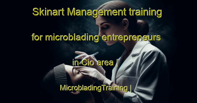 Skinart Management training for microblading entrepreneurs in Cio area | MicrobladingTraining | MicrobladingClasses | SkinartTraining-United States